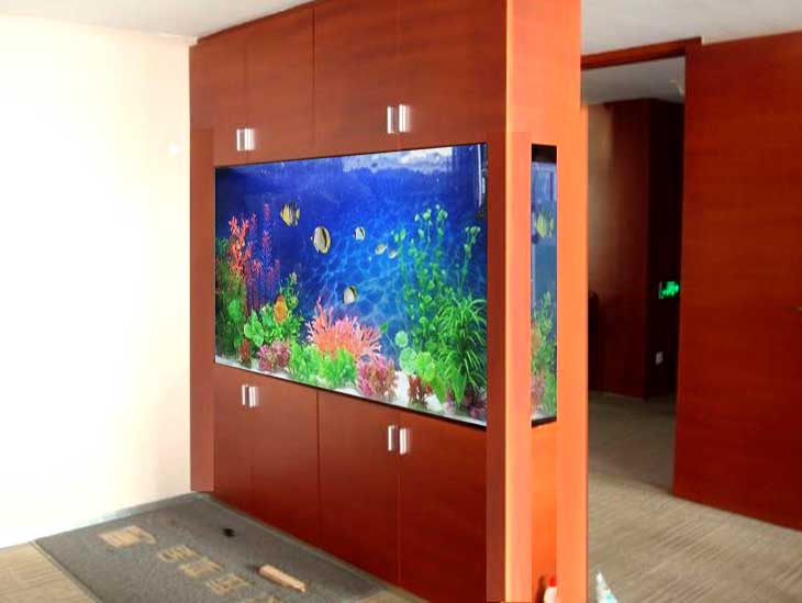 昆明搬家搬運魚缸需要注意的事項有哪些？